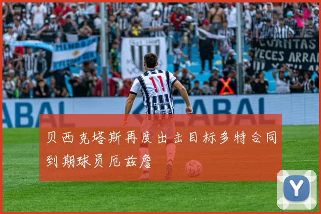 贝西克塔斯再度出击目标多特合同到期球员厄兹詹